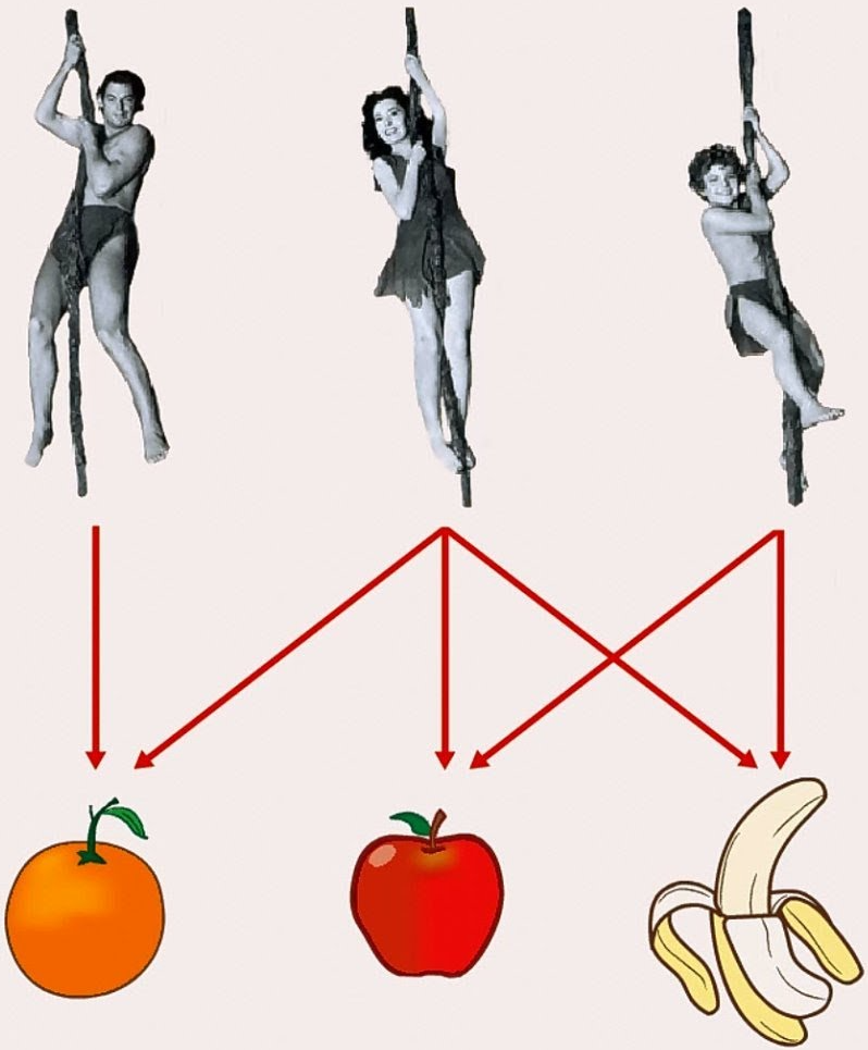 Illustration of binary relation